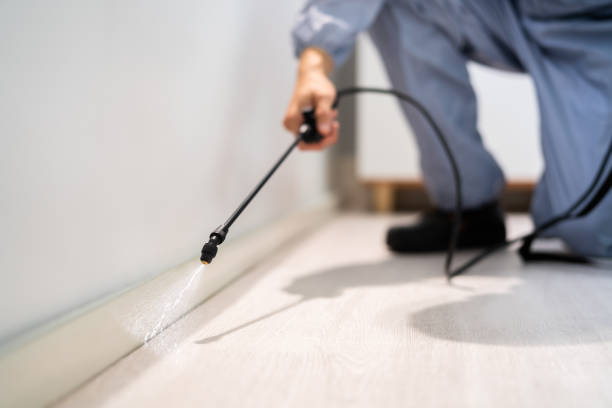 Bed Bug Pre-Treatment Preparation Assessment in Lewes
